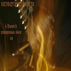Cover of I Don't Wanna See U