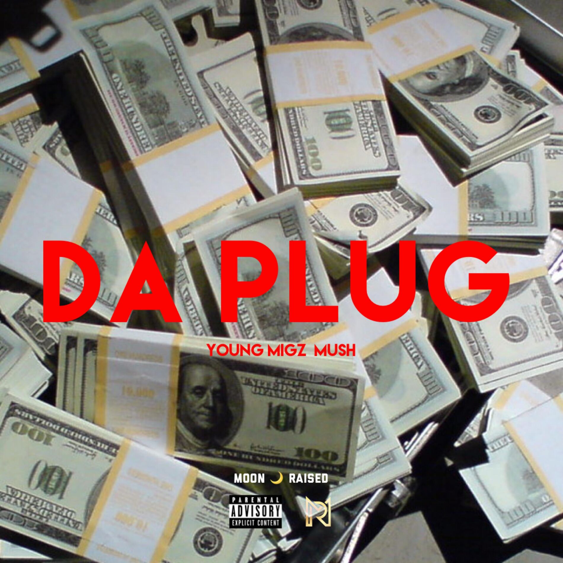 Album cover of Da Plug (feat. Young Migz & Mush)