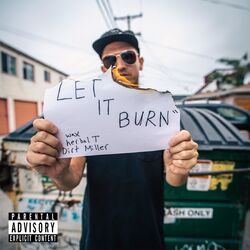 Cover of Let it Burn