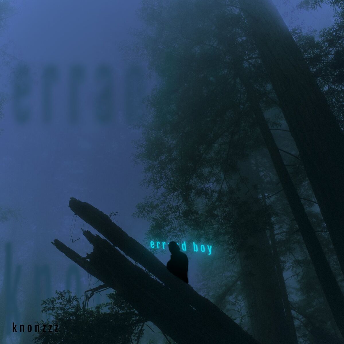 Album cover of errand boy