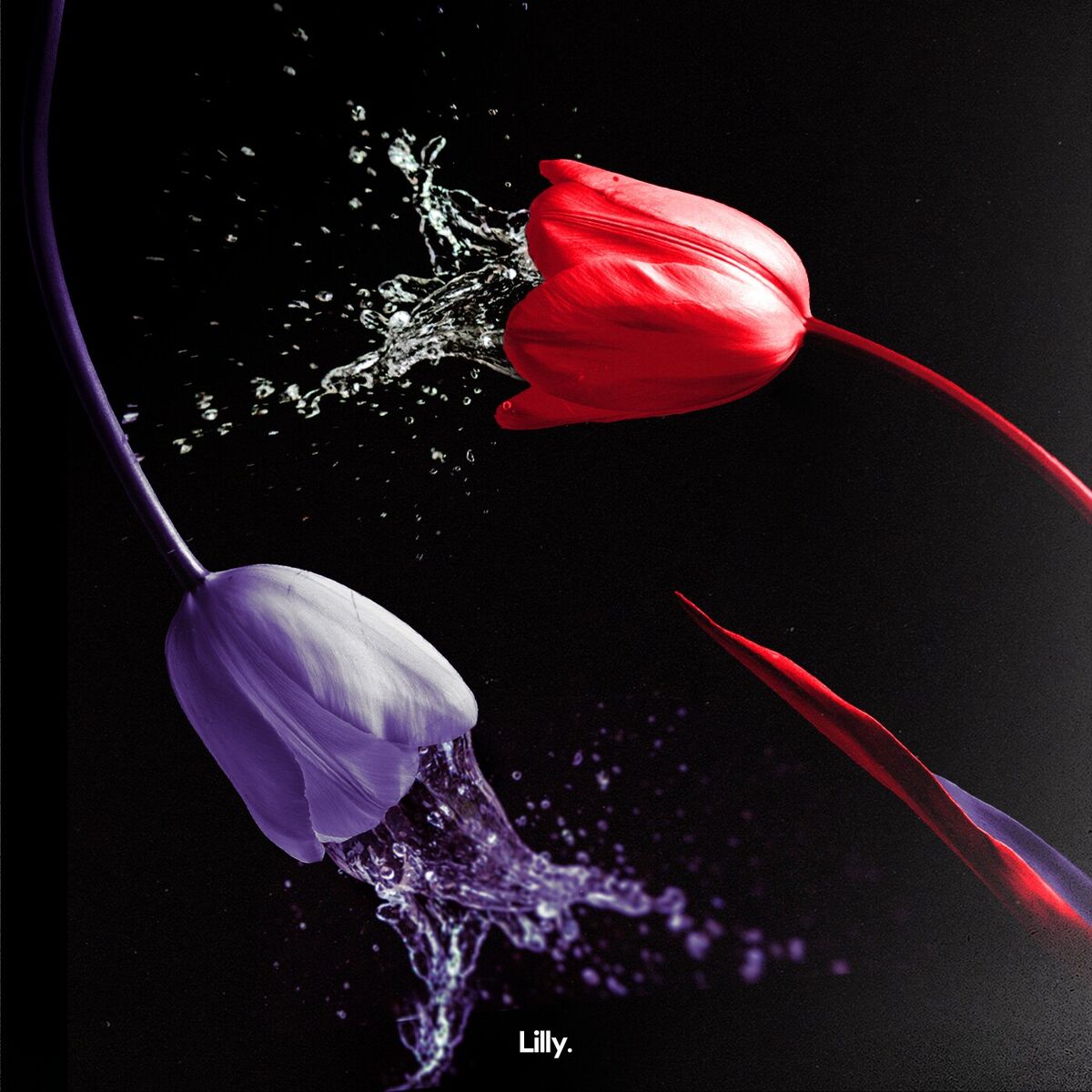 Album cover of Seething