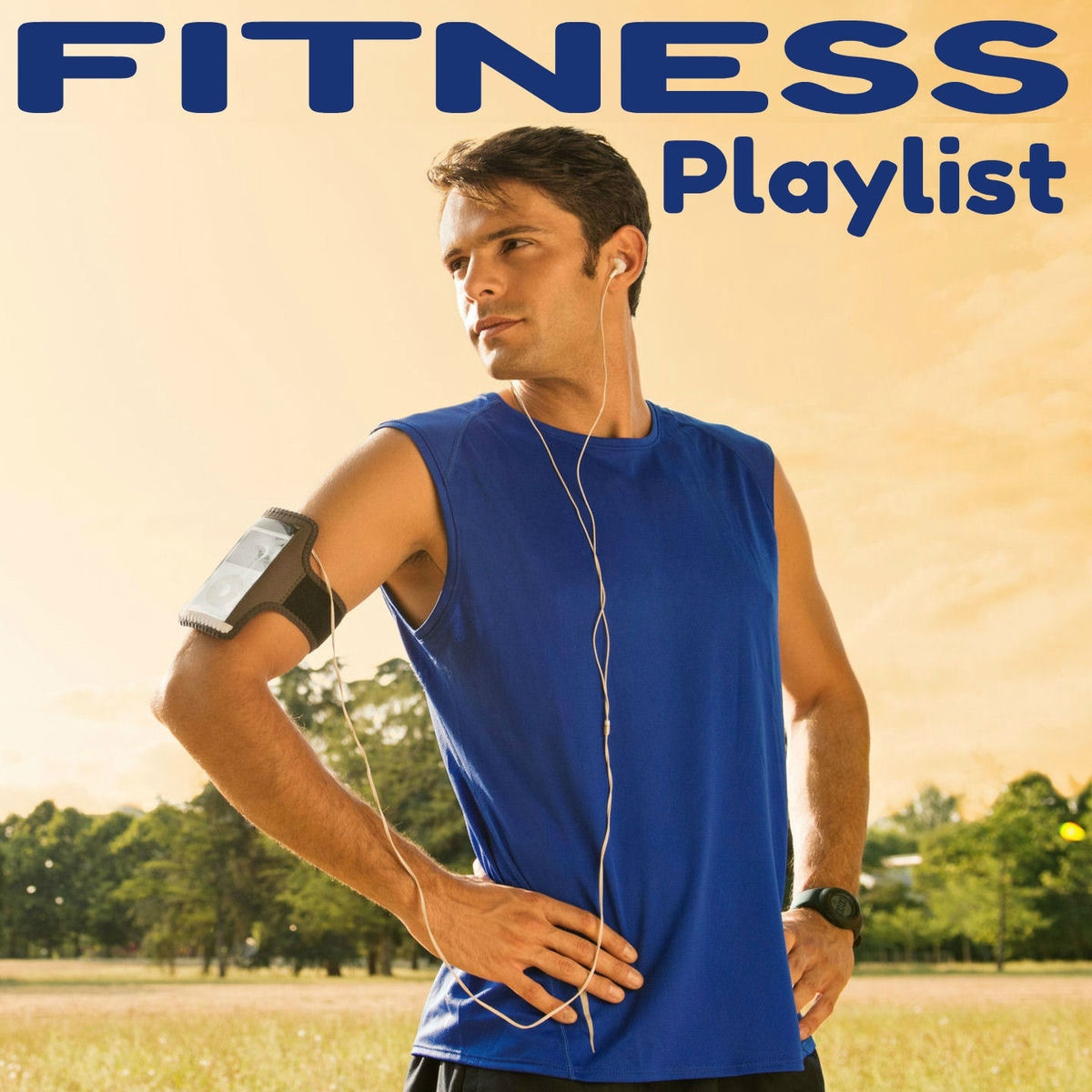 Album cover of The Fitness Playlist