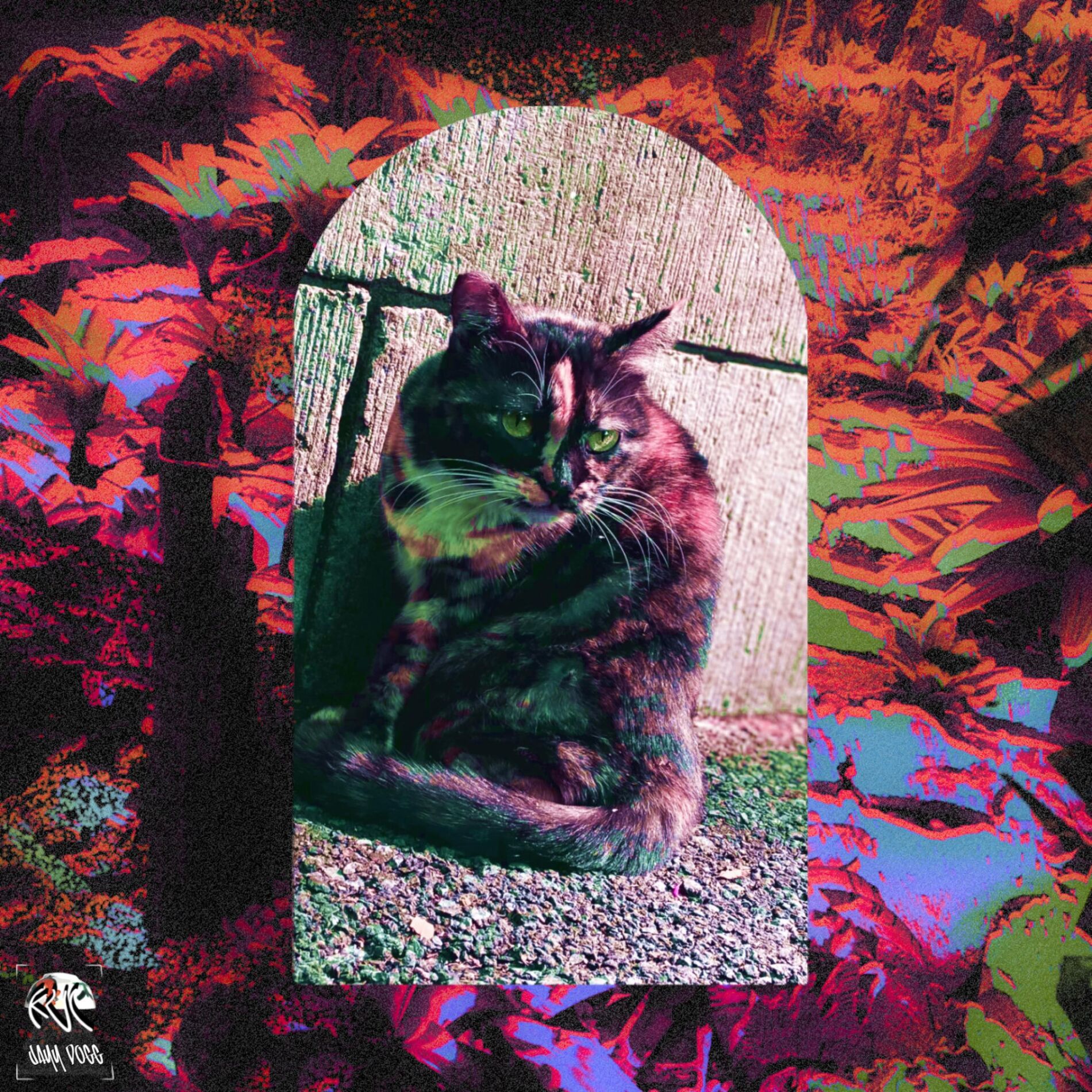 Album cover of KUCHING