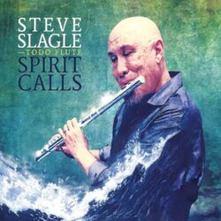 Cover of Spirit Calls