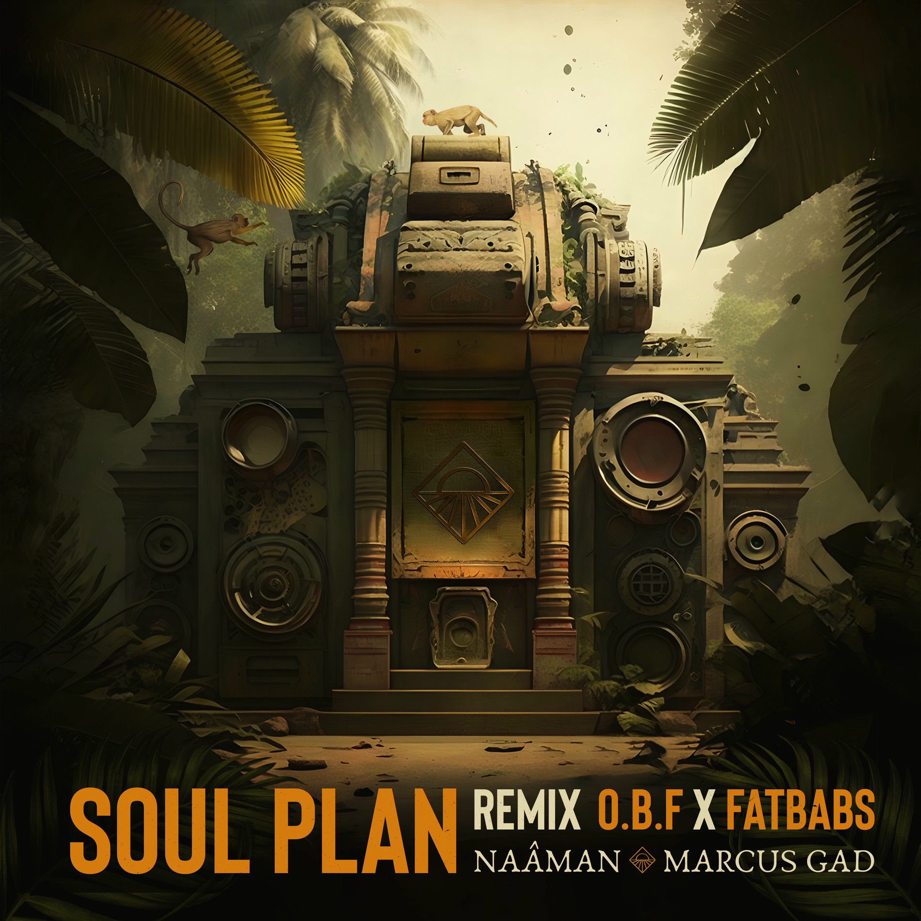 Album cover of Soul Plan (Remix)