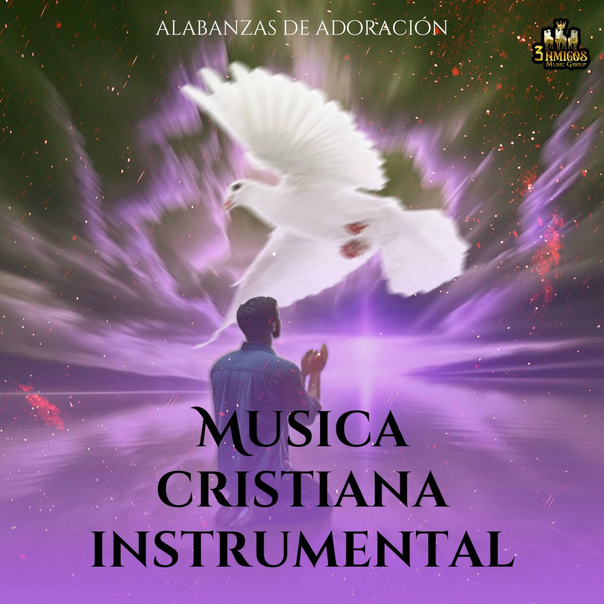 Album cover of Alabanzas De Adoracion