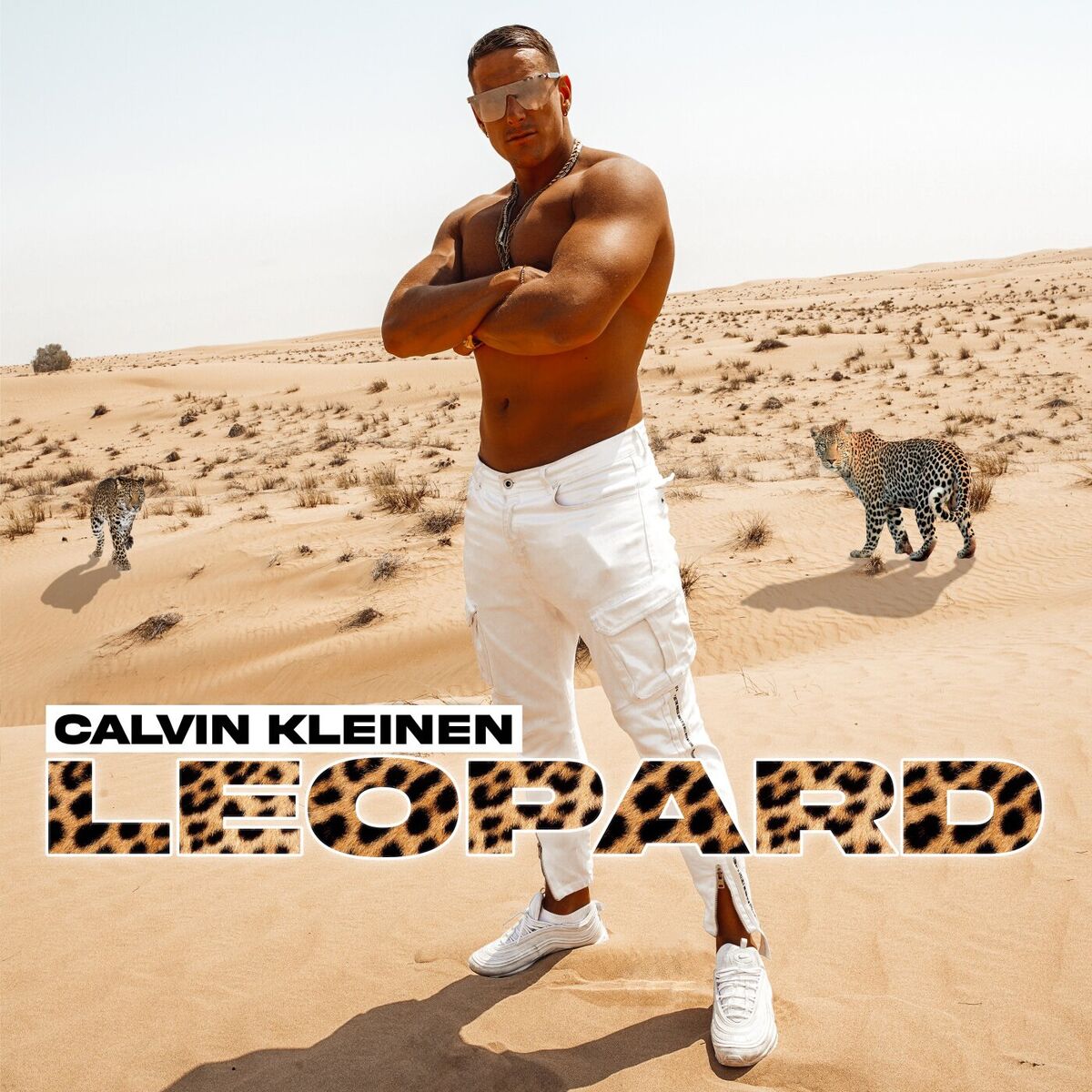 Album cover of Leopard