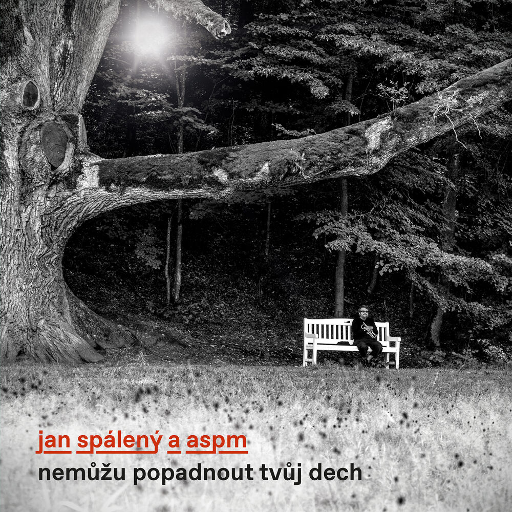 Picture of Nemůžu popadnout tvůj dech