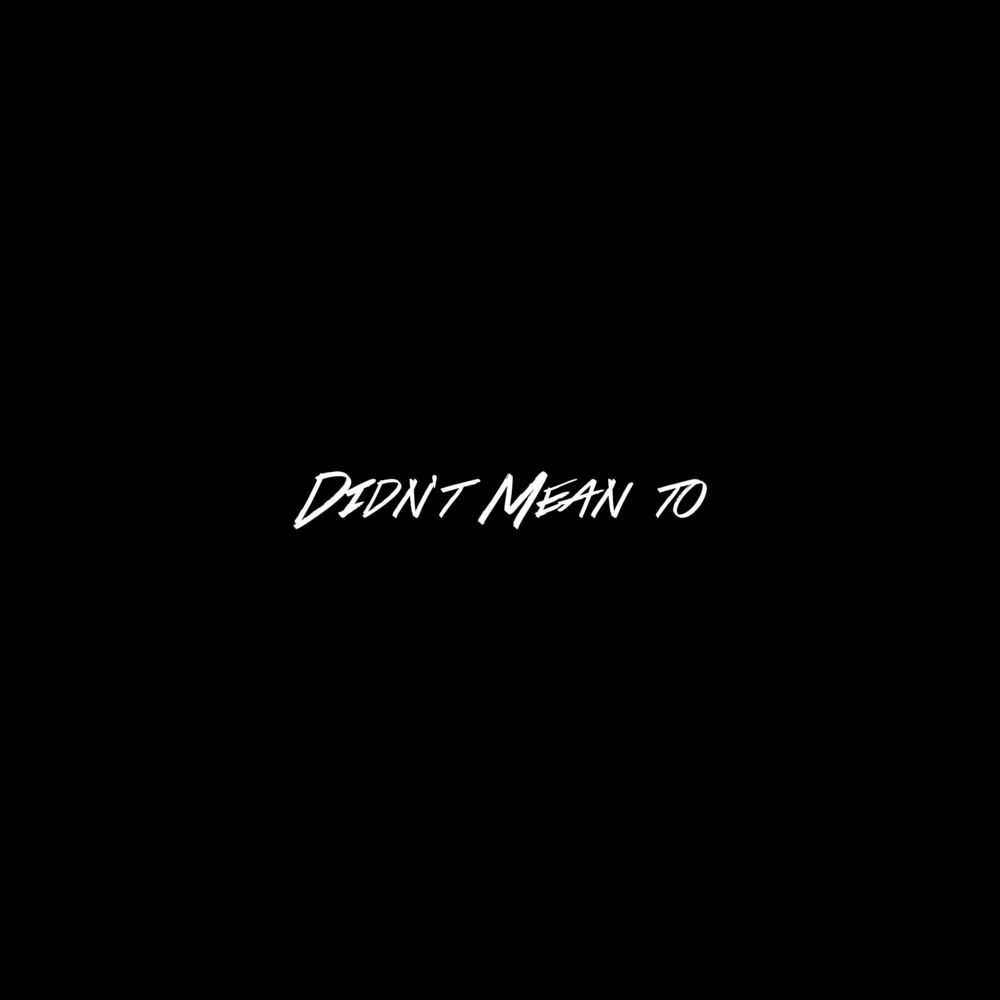 Picture of Didn't Mean to (feat. YVNG AX$TN)
