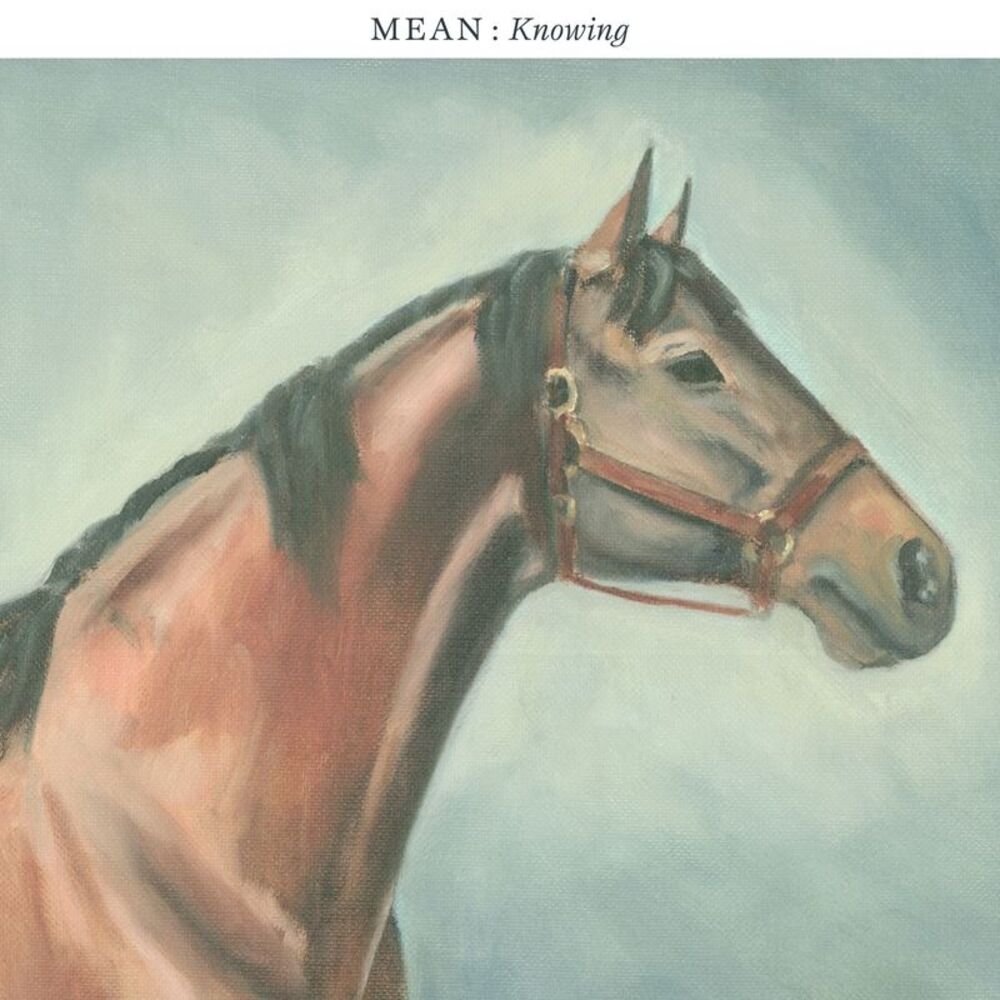 Picture of Knowing