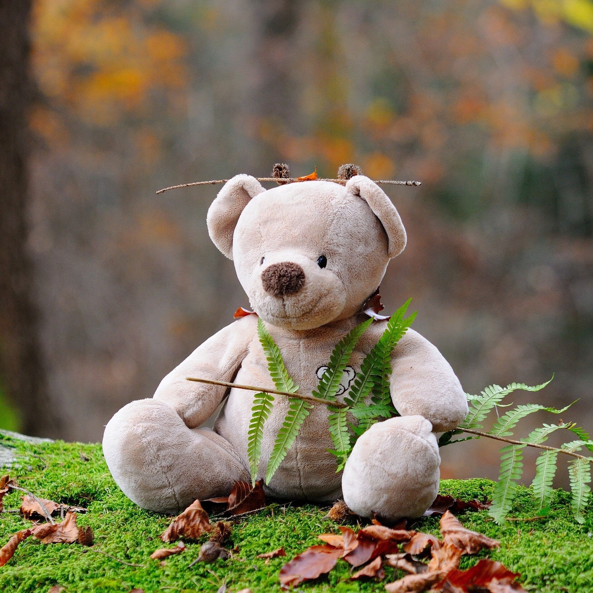 Album cover of 50 Calming Children's Lullabies for Happy Nights