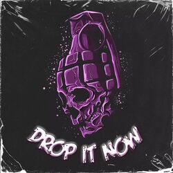 Cover of Drop It Now
