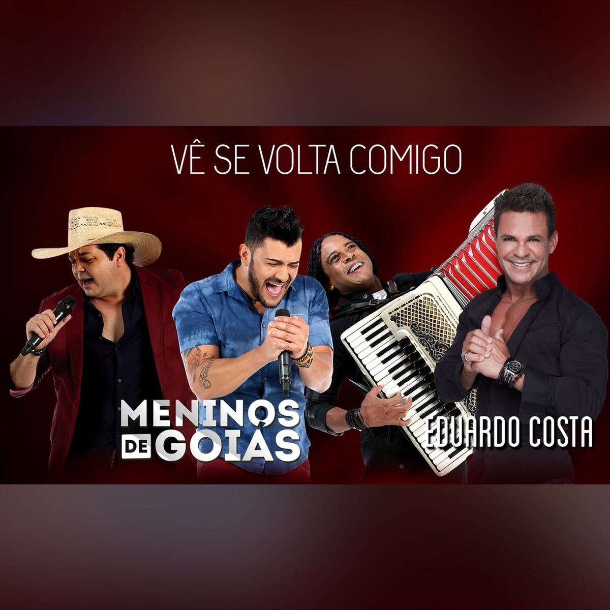 Album cover of Vê Se Volta Comigo