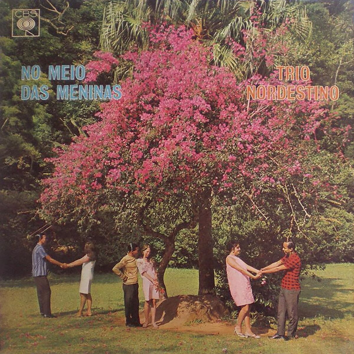 Album cover of São João Batizador
