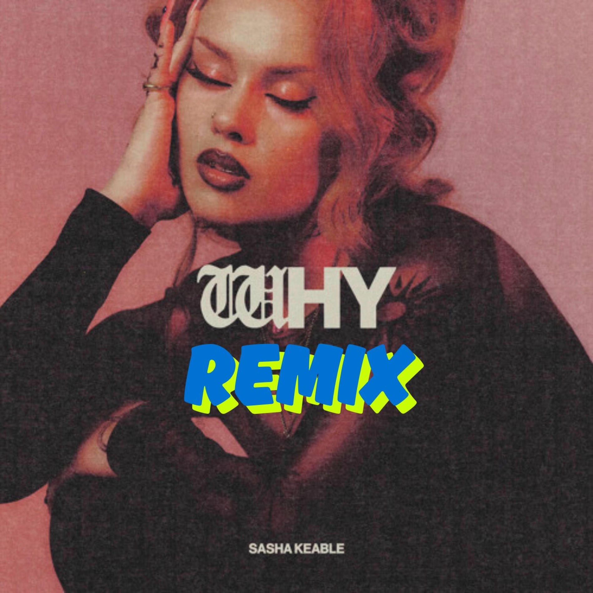 Album cover of WHY (feat. Sasha Keable) [Remix]