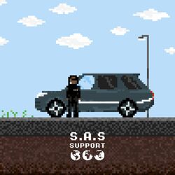 Cover of S.A.S Support