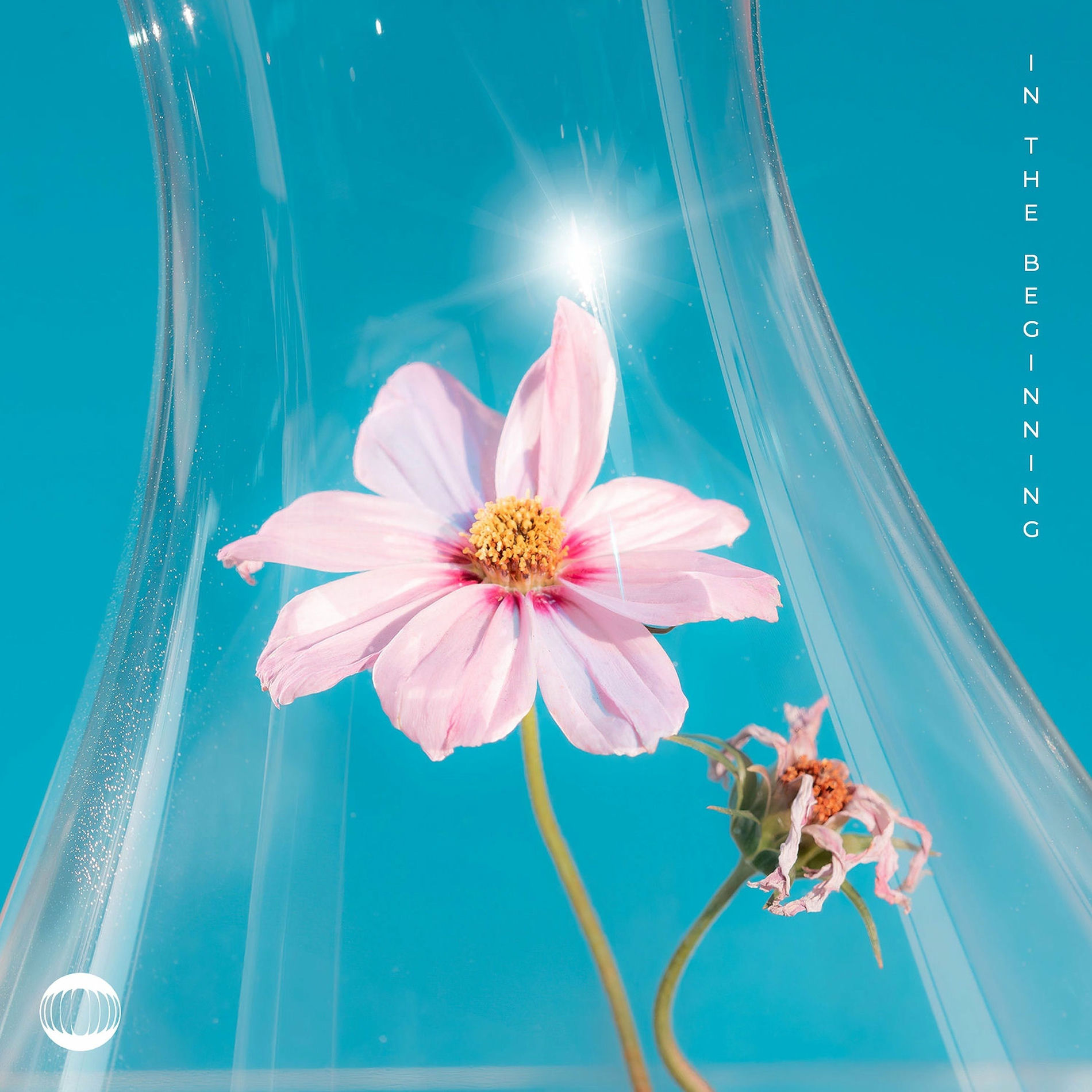 Album cover of In The Beginning