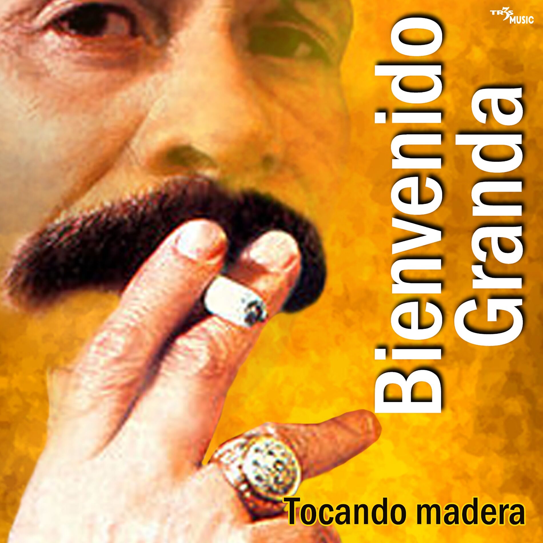 Album cover of Tocando Madera Vol. 2