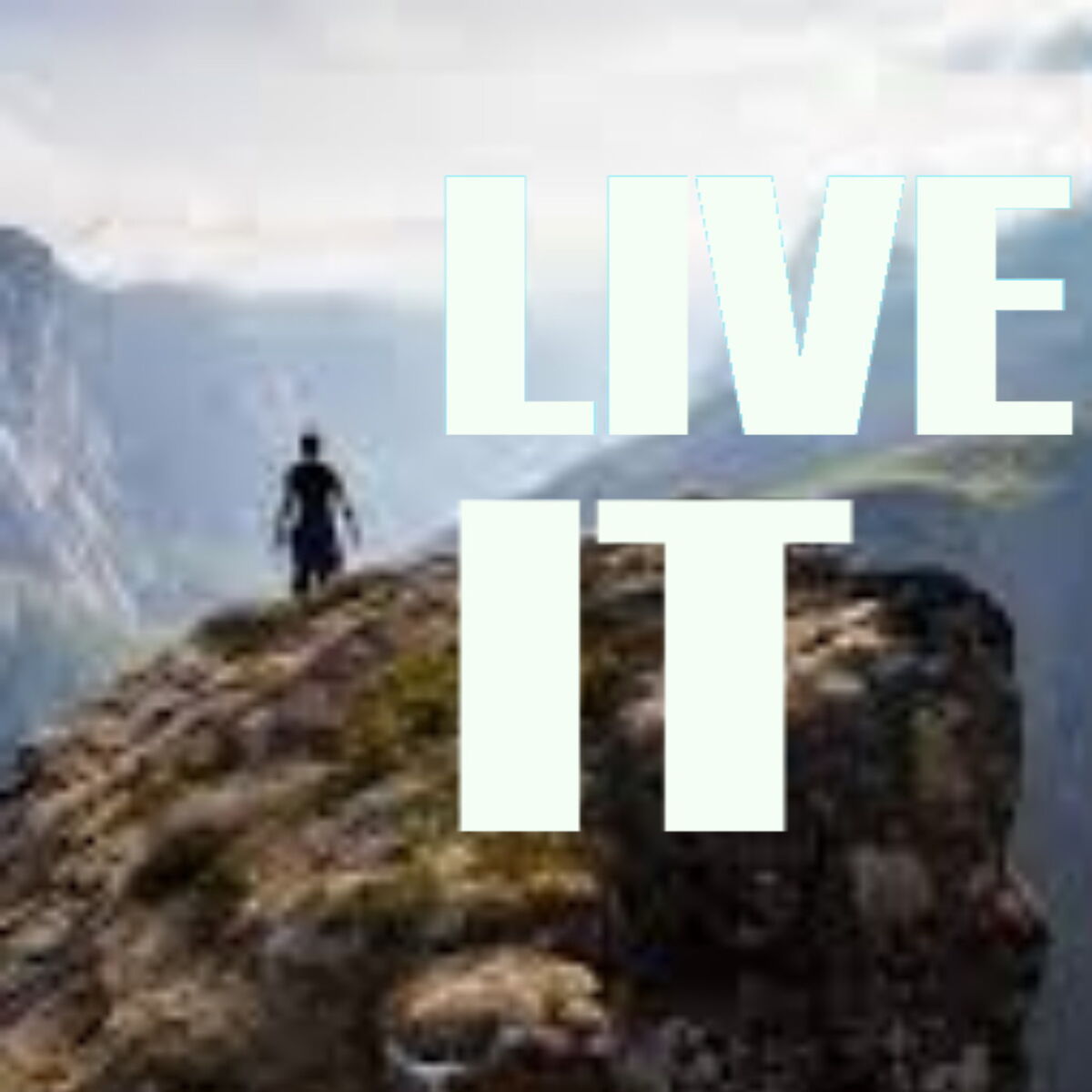 Album cover of Live It