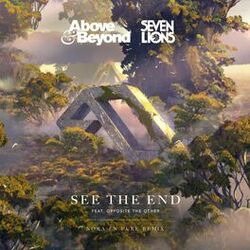Cover of See The End (Nora En Pure Remix)