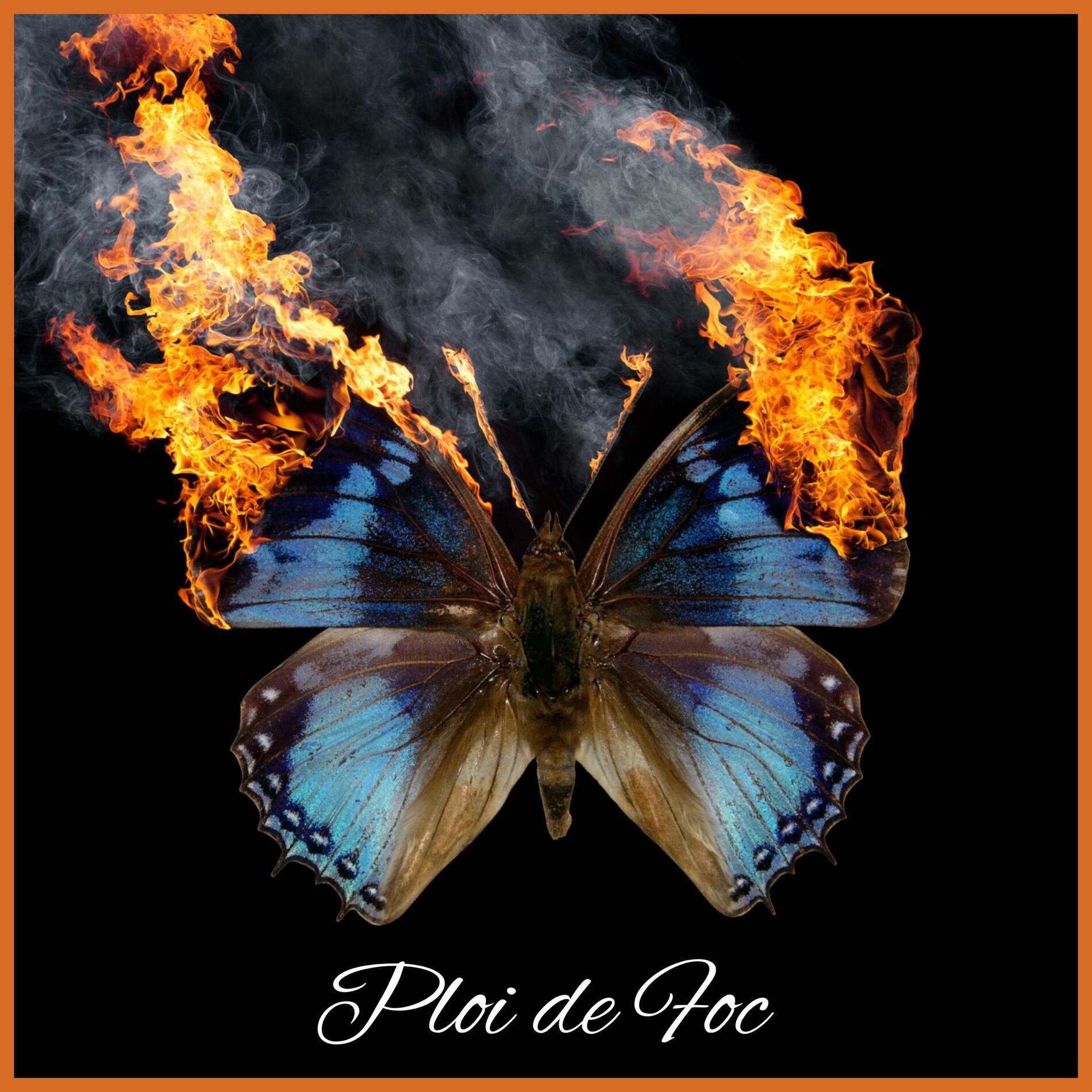 Album cover of PLOI DE FOC (feat. Romeo)