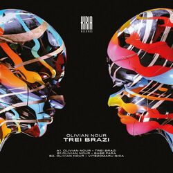 Cover of Trei Brazi