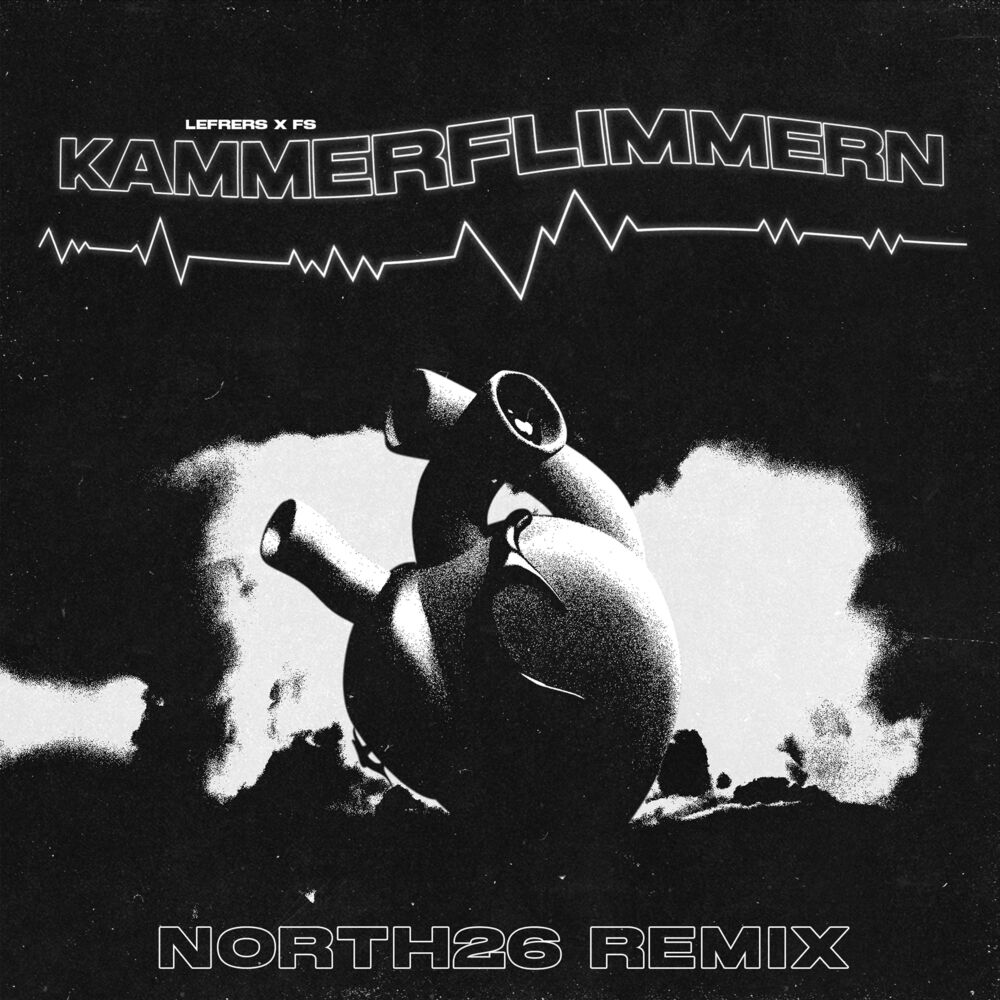 Picture of Kammerflimmern