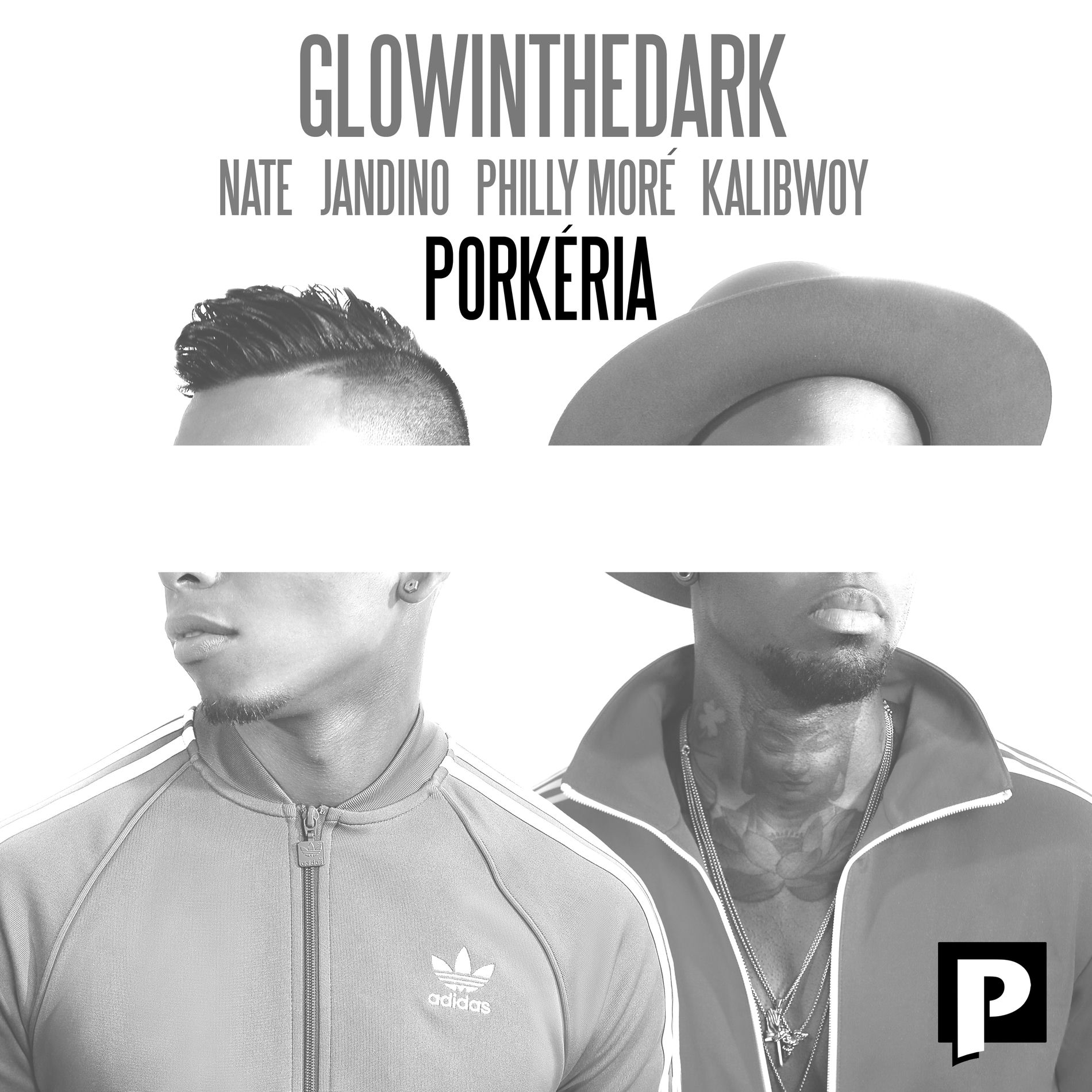 Album cover of Porkéria
