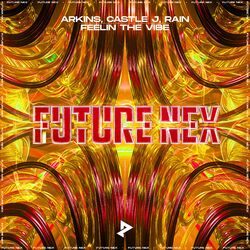 Cover of Feelin The Vibe