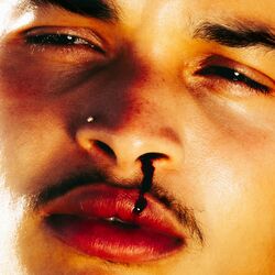 Cover of NOSEBLEED