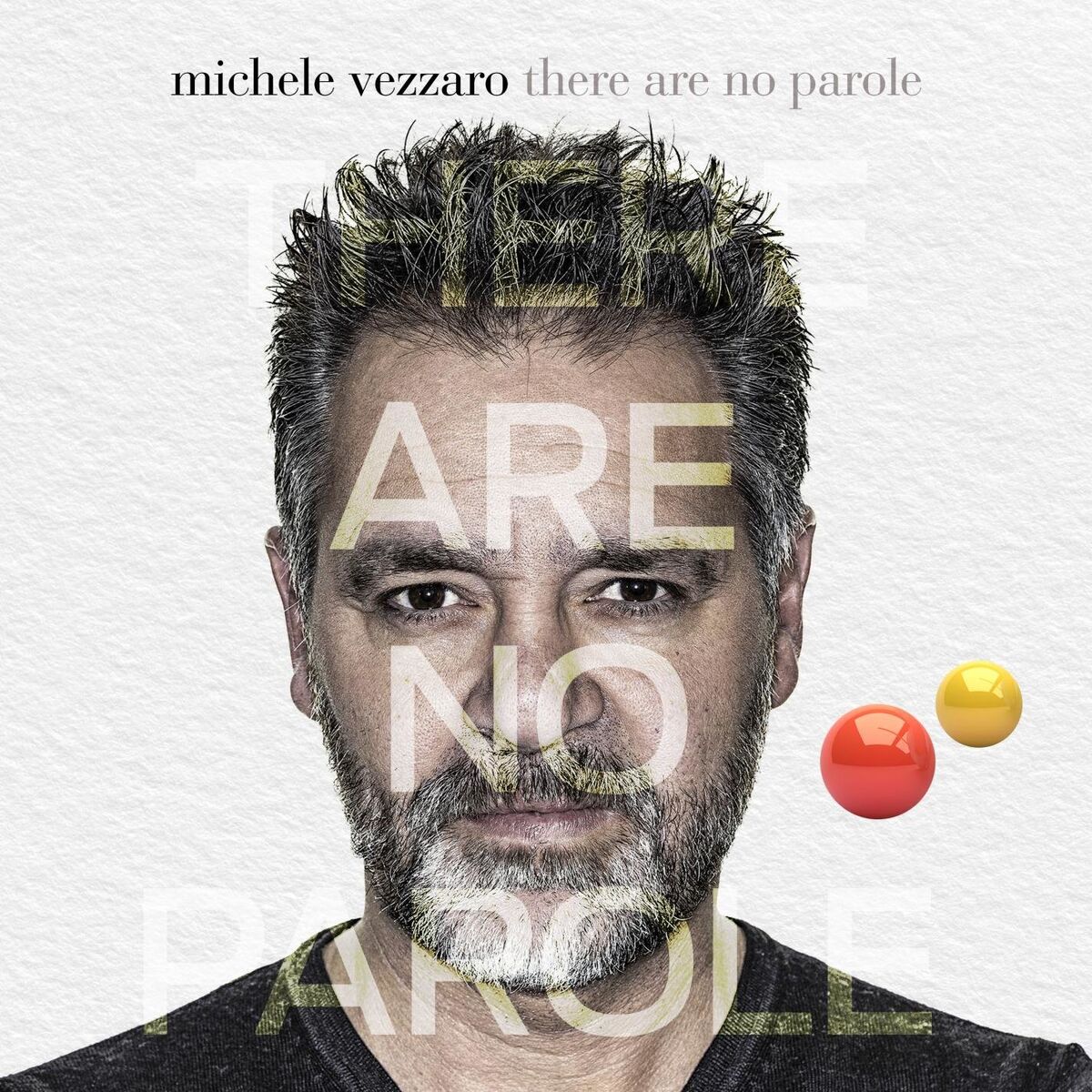 Album cover of THERE ARE NO PAROLE