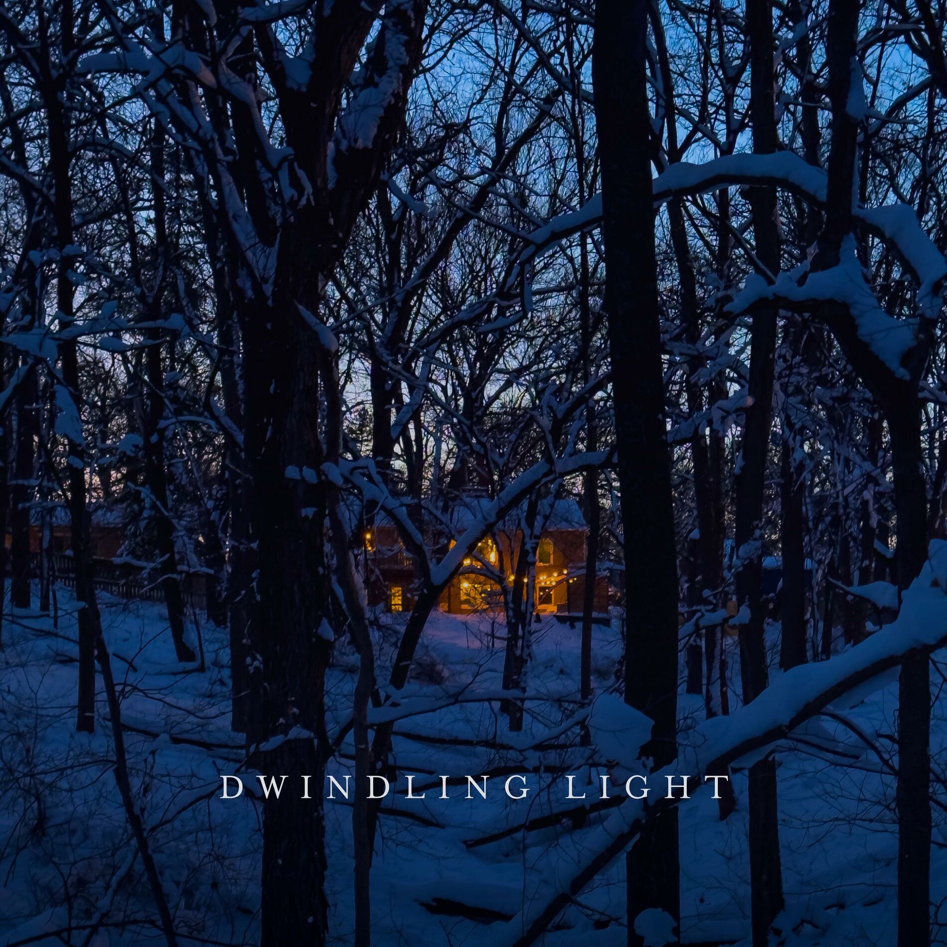 Album cover of Dwindling Light