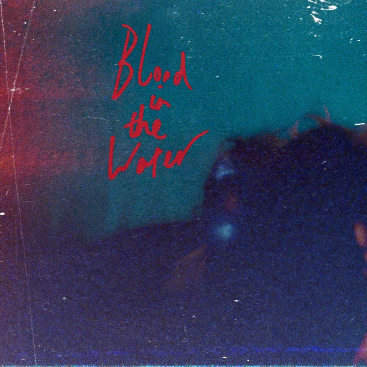 Album cover of Blood In The Water