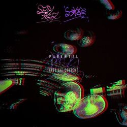 Cover of Birth