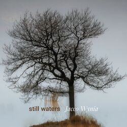 Cover of still waters
