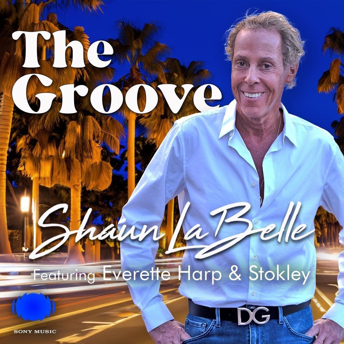 Album cover of The Groove