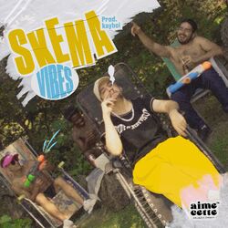 Cover of Vibes