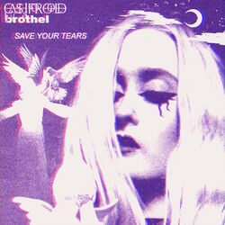 Cover of Save Your Tears