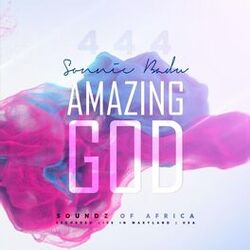Cover of Amazing God (Live)
