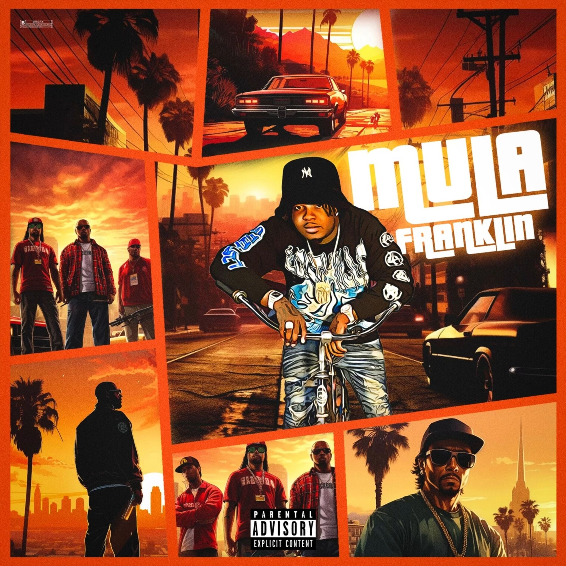 Album cover of Mula Franklin