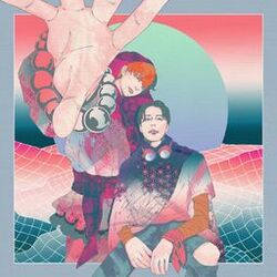 Cover of The Plot / Echo