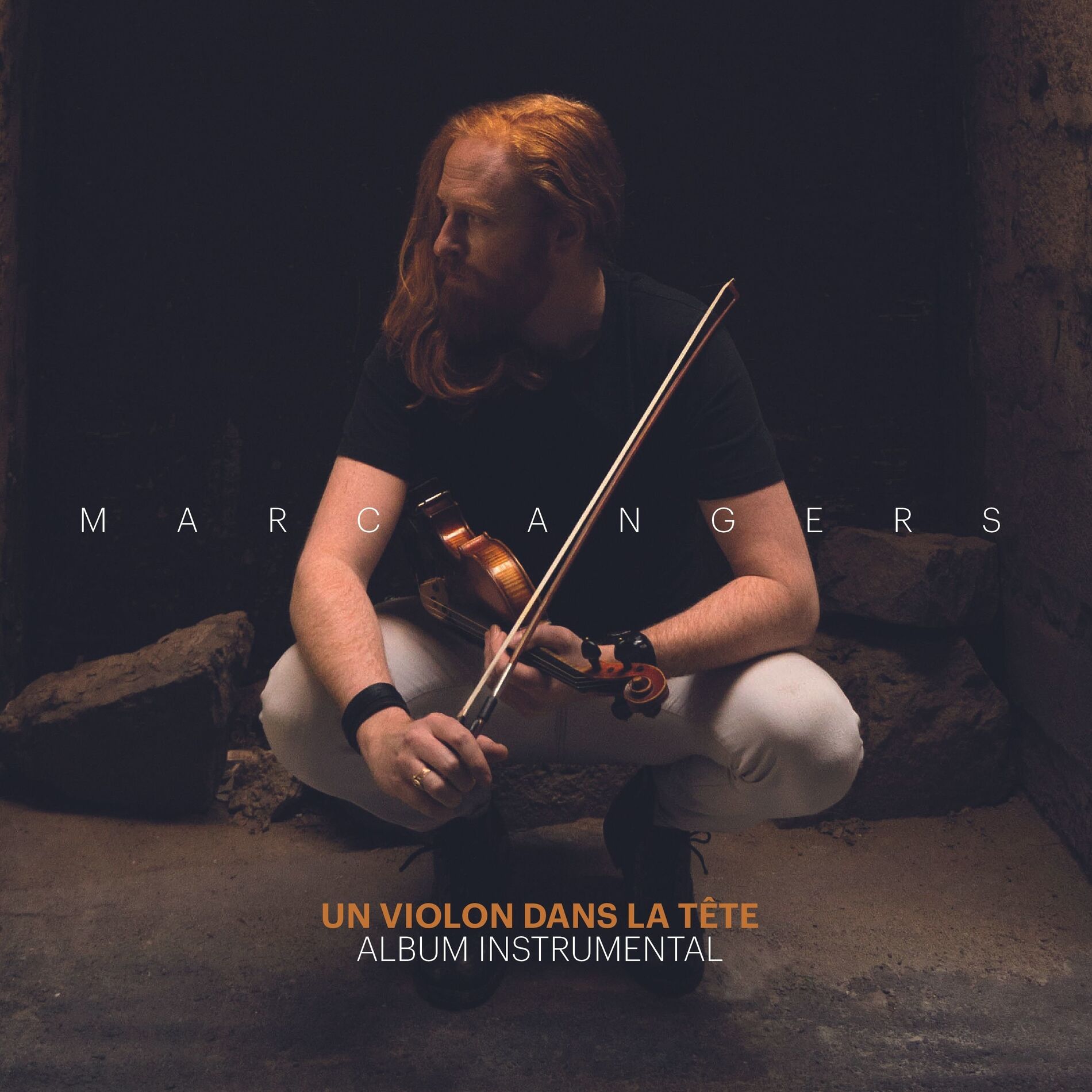 Album cover of The Scientist