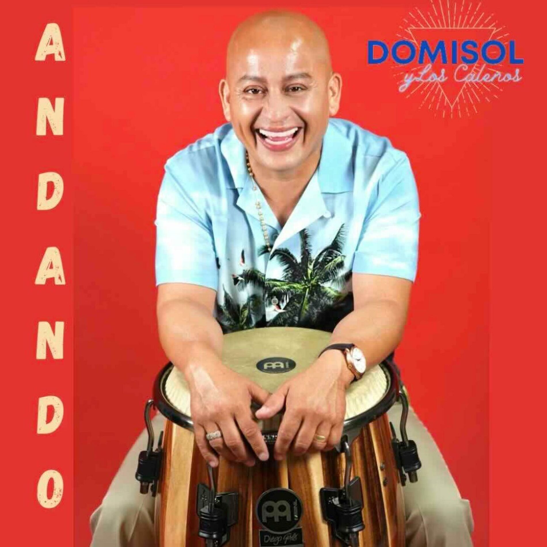 Album cover of Andando