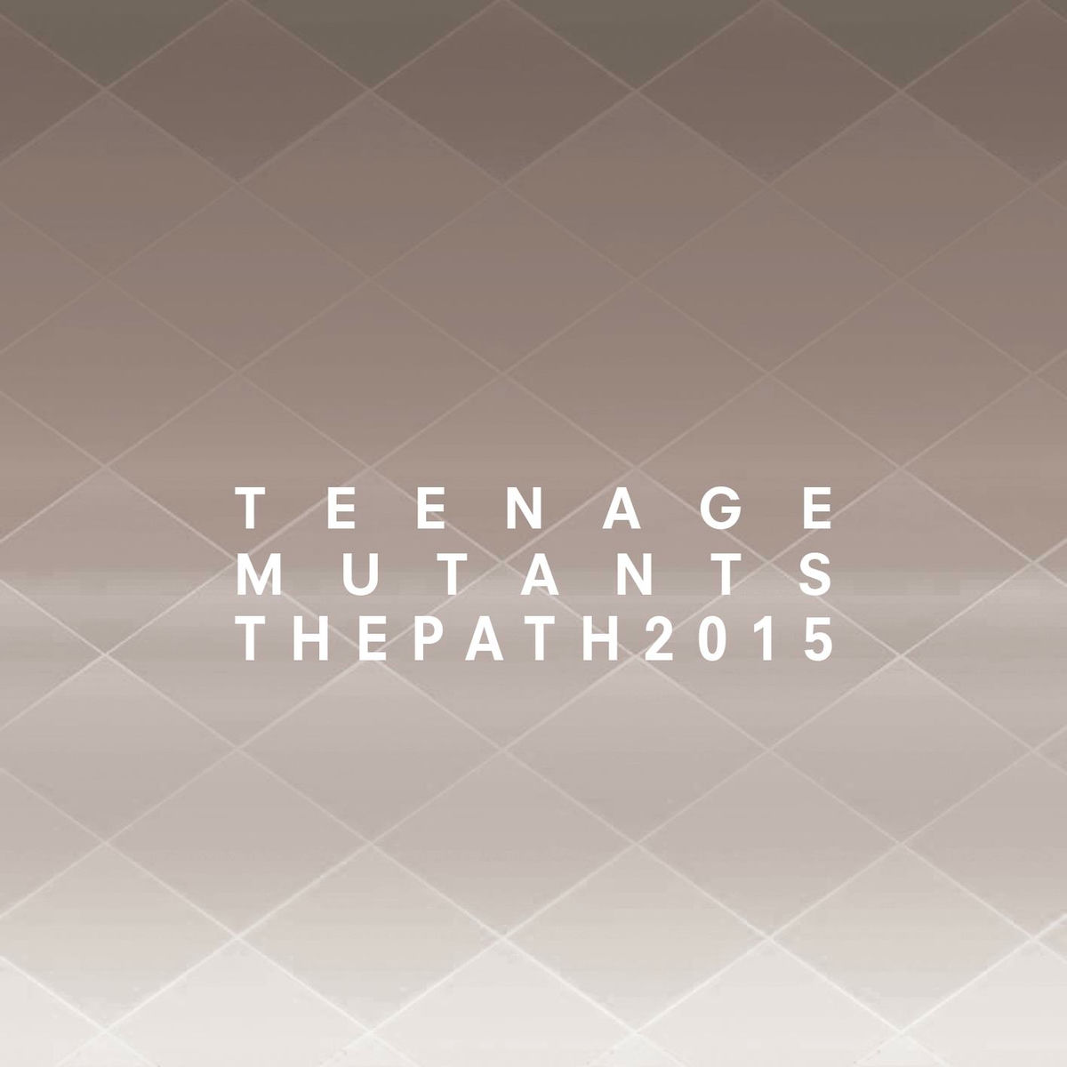 Album cover of The Path 2015