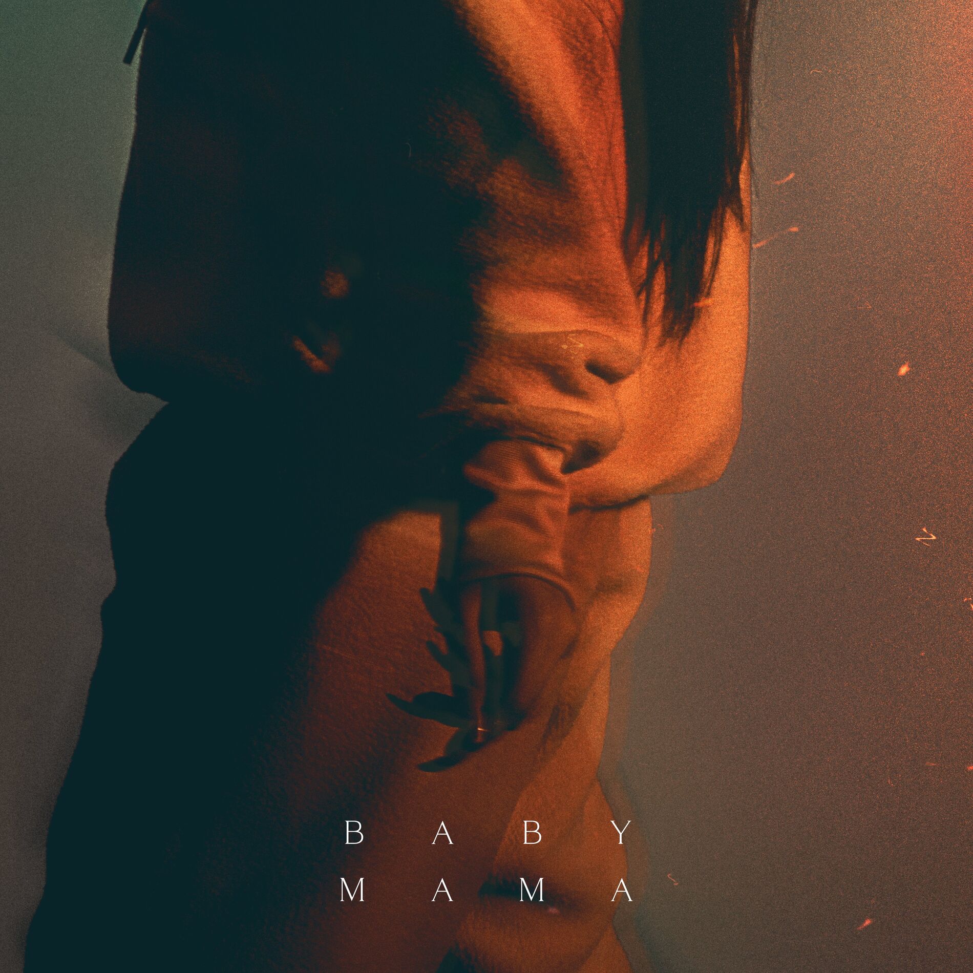 Album cover of Baby Mama