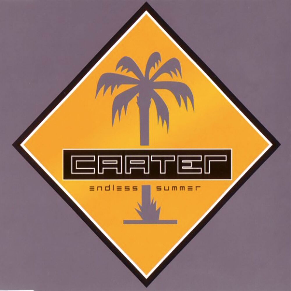 Picture of Endless Summer (Radio version)