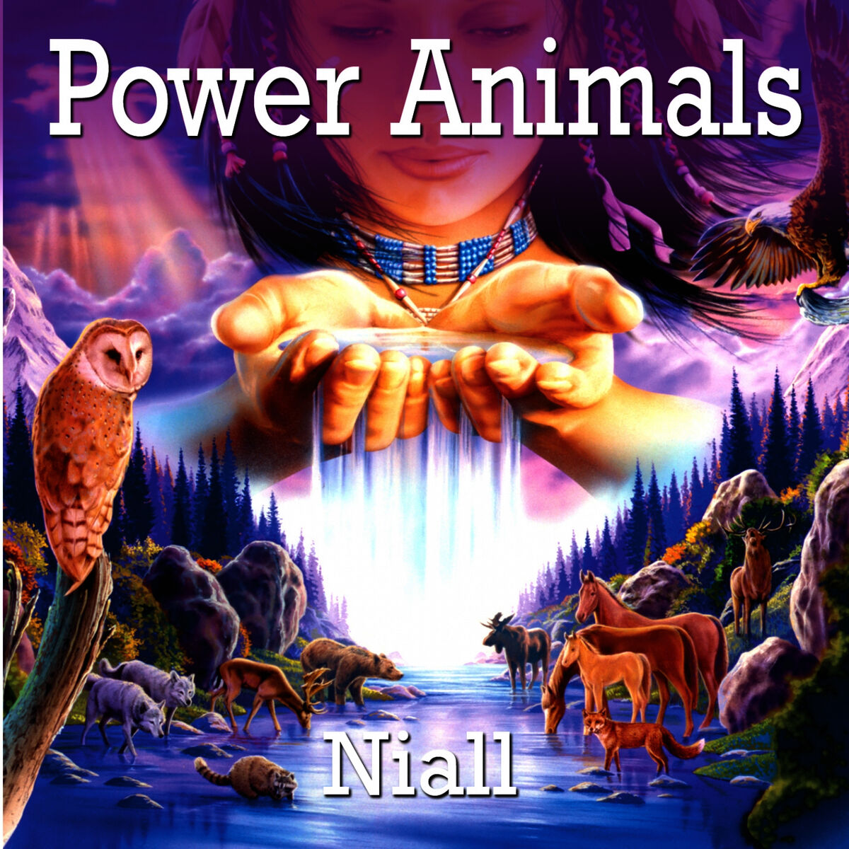 Album cover of The Owl