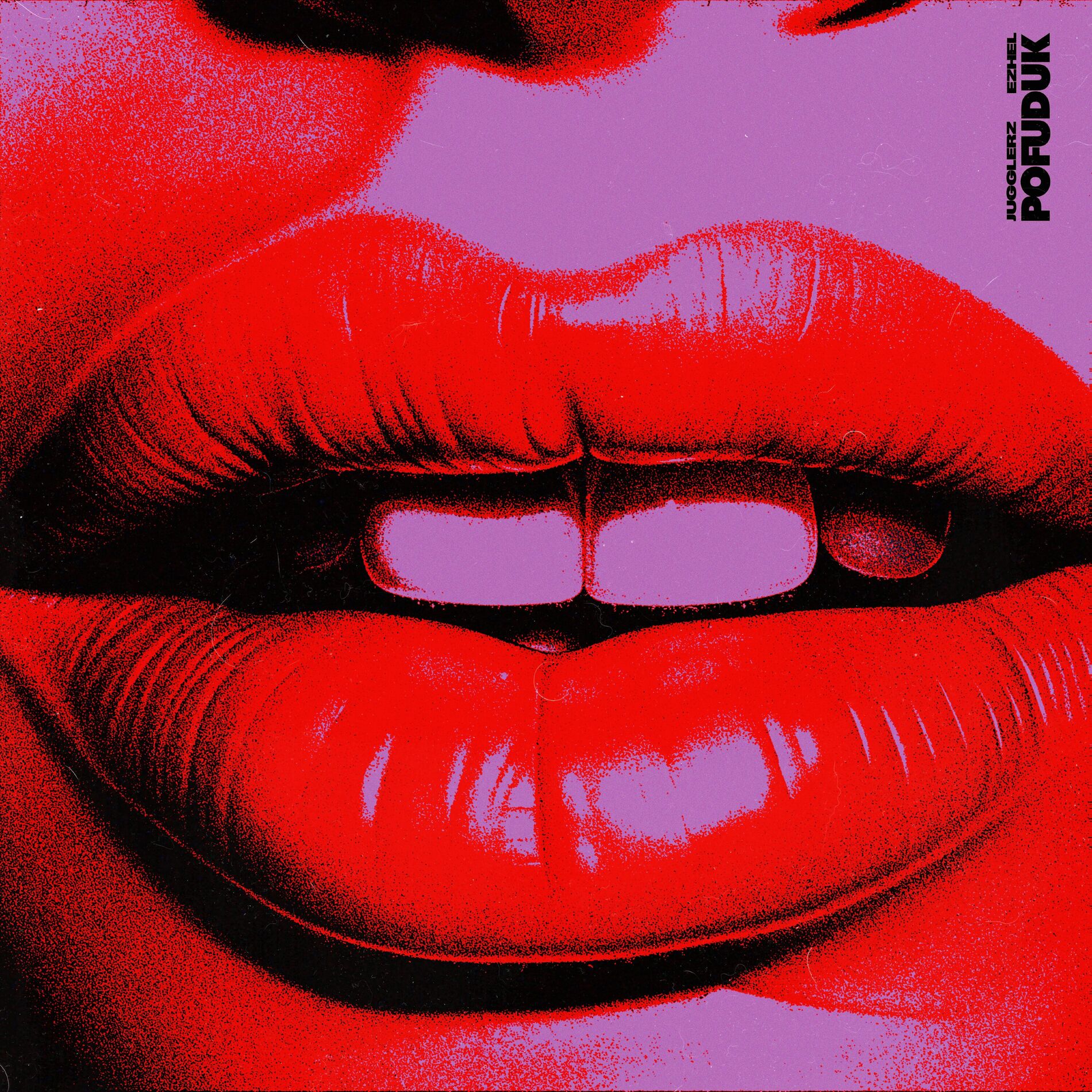 Album cover of Pofuduk
