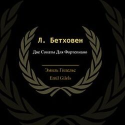 Cover of Л. Бетховен: Две Сонаты Для Фортепиано (Remastered 2022)