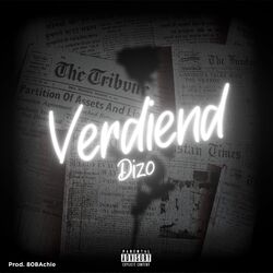 Cover of Verdiend